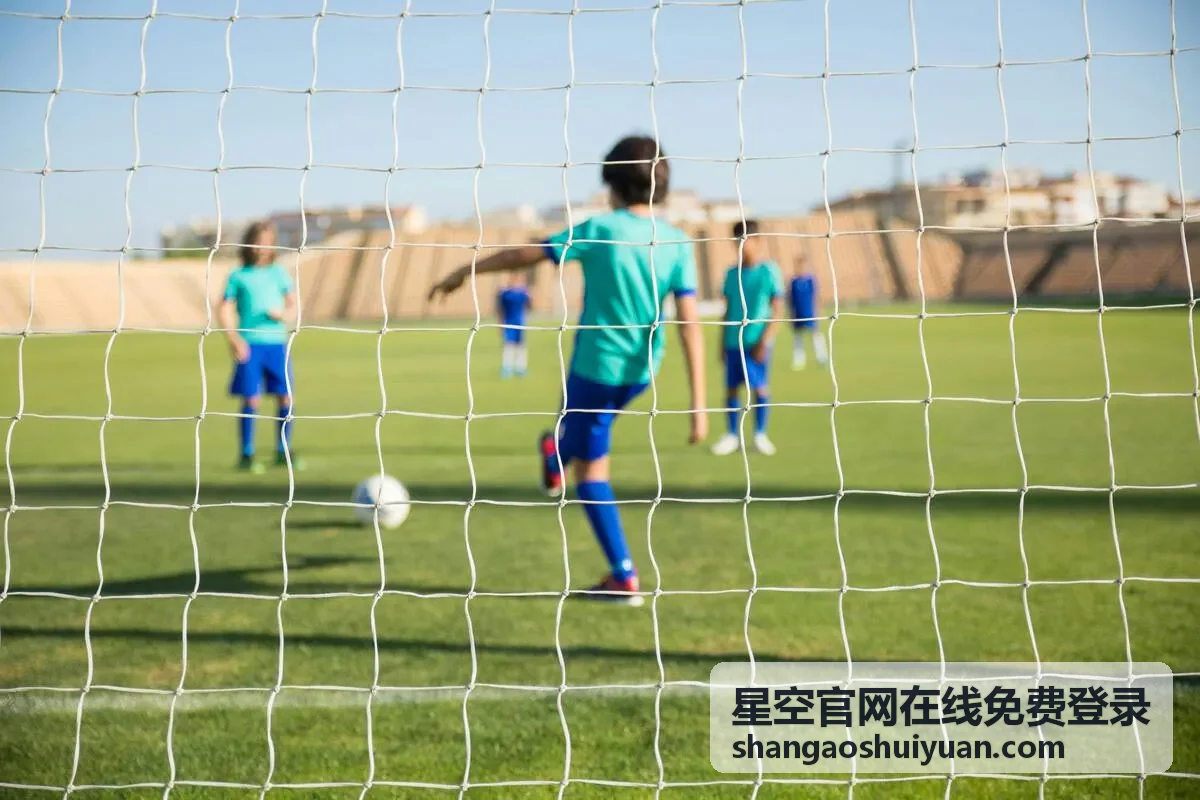 星空官网在线免费登录企业客户查看工单进度场景